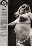 Man's Pleasure - December (1972) preview