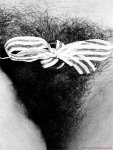 Close-Up (1974) preview