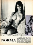 The Swinger - August (1972) preview