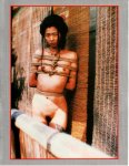 Tokyo Tied Number 3 (1996) preview