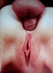 Blow Up Rasiert 2 preview