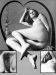 Foxie 2 (1969) preview