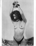 Love Bondage Gallery 15 (1990) preview