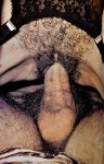 Porno Trio (1970s) (DK) preview