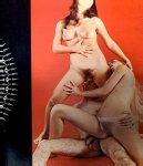Fantasee Volume 1 Number 1 preview 3