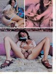 Housewives Volume 4 Number 3 (1978) preview 2