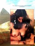 Puritan International 14 (1989) preview 2