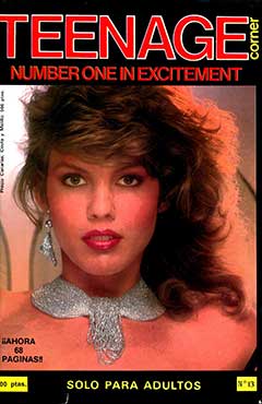 Teenage Corner 13 (1985)