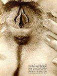 Flirt No.4 (1972) preview 4
