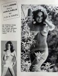 Sexfocus Volume 1 Number 1 preview 2