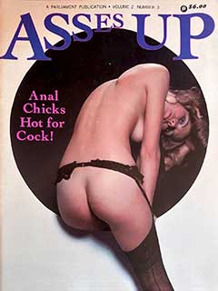 Asses Up Volume 2 Number 3