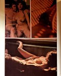 Leisure Volume 1 Number 1 preview 3