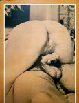 SEXFAIR Volume 1 Number 1 preview 2