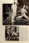 Three collage of nude women posing in rustic room